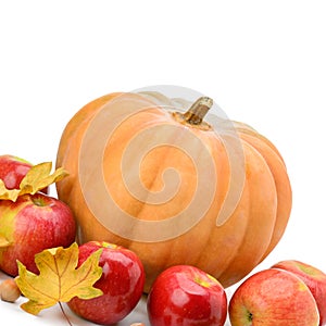 Pumpkin, apples and hazel isolated on white background.