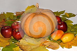 Pumpkin with apples and pears on yellow fallen leaves.