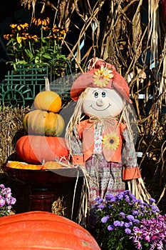 Pumpkin art at the market.