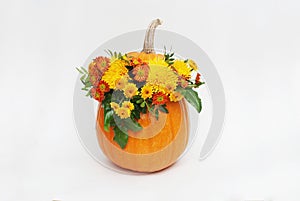 Pumpkin autum ncolorful flower arrangement on white background. Isolated.