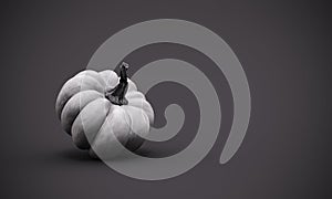 Pumpkin. Autumn black and white composition with pumpkin and copy space.
