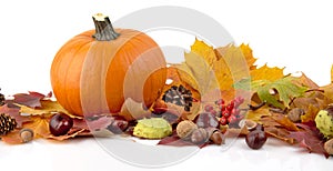 Pumpkin with autumn leaves for thanksgiving day on white background