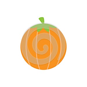 Pumpkin autumn round vector illustration icon