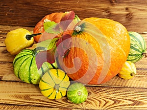 Pumpkin. Autumn still life with pumpkins and bright leaf on wooden table