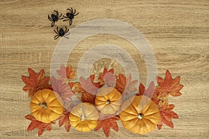 Pumpkin Autumn Thanksgiving Background