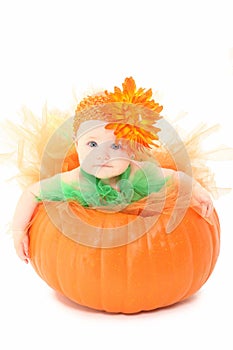 Pumpkin Baby