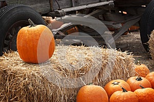 Pumpkin on Bale of Straw