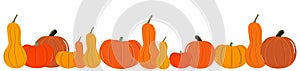Pumpkin banner Halloween background hand drawn vector illustration. Thanksgiving Day or harvest festival card with place