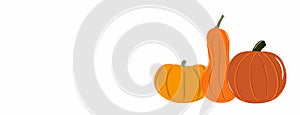 Pumpkin banner Halloween background hand drawn vector illustration. Thanksgiving Day or harvest festival card with place