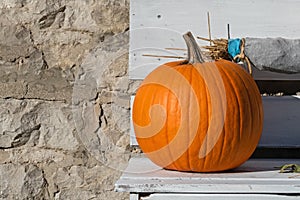 Pumpkin on Bench Beside Stone Wall