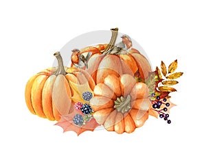 Pumpkin and birds autumn arrangement. Watercolor illustration. Hand drawn rustic festive decor. Robin birds on pumpkin