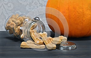 Pumpkin bone shaped dog cookies spilling onto a counter.