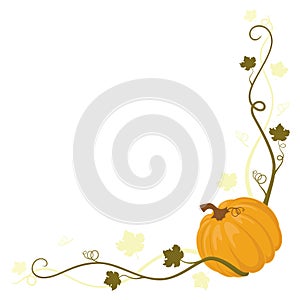 Pumpkin Border