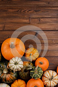 Pumpkin border over rustic wood