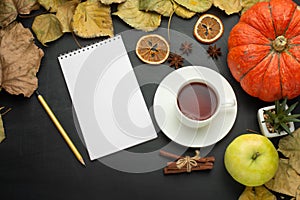 pumpkin bright foliage alarm clock paper note pencil apple. autumn harvest style of the country. flat lying season food view from