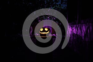 Pumpkin Burning In Forest At Night - Halloween Background. Scary Jack o Lantern smiling and glowing pumpkin with dark toned foggy