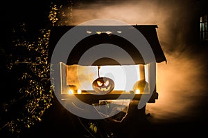 Pumpkin Burning In Forest At Night - Halloween Background. Scary Jack o Lantern smiling and glowing pumpkin with dark toned foggy