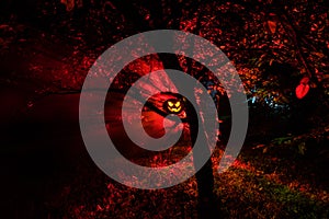 Pumpkin Burning In Forest At Night - Halloween Background. Scary Jack o Lantern smiling and glowing pumpkin with dark toned foggy