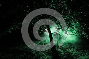 Pumpkin Burning In Forest At Night - Halloween Background. Scary Jack o Lantern smiling and glowing pumpkin with dark toned foggy