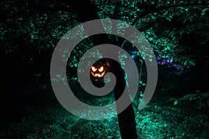 Pumpkin Burning In Forest At Night - Halloween Background. Scary Jack o Lantern smiling and glowing pumpkin with dark toned foggy