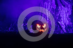 Pumpkin Burning In Forest At Night - Halloween Background. Scary Jack o Lantern smiling and glowing pumpkin with dark toned foggy