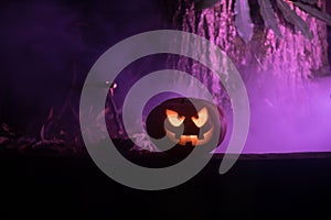 Pumpkin Burning In Forest At Night - Halloween Background. Scary Jack o Lantern smiling and glowing pumpkin with dark toned foggy
