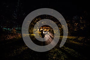 Pumpkin Burning In Forest At Night - Halloween Background. Scary Jack o Lantern smiling and glowing pumpkin with dark toned foggy