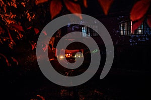 Pumpkin Burning In Forest At Night - Halloween Background. Scary Jack o Lantern smiling and glowing pumpkin with dark toned foggy