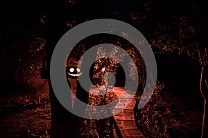 Pumpkin Burning In Forest At Night - Halloween Background. Scary Jack o Lantern smiling and glowing pumpkin with dark toned foggy