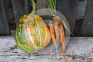 Pumpkin and carrot