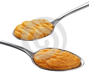 Pumpkin and carrot puree in spoon isolated on white background