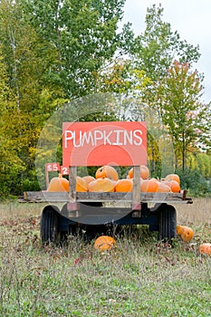 Pumpkin Cart in Rural United States