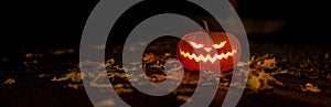 pumpkin carved in the shape of a Jack-o\'-lantern. Glowing pumpkin on an autumn dark background