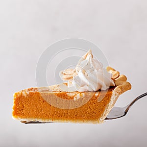 Pumpkin cheesecake swirl pie topped with whipped cream