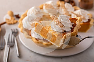 Pumpkin cheesecake swirl pie topped with whipped cream