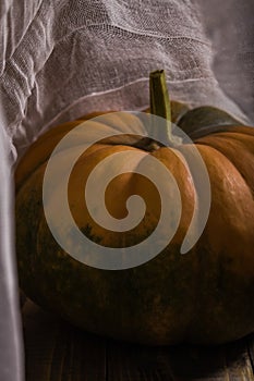 Pumpkin with cheesecloth photo