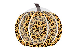 Pumpkin with Cheetah Print illustration