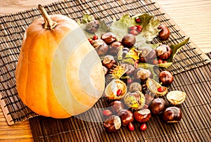 Pumpkin chestnuts and dog rose berry photo