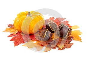 Pumpkin, chestnuts and fake autumn leaves