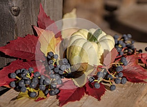 pumpkin close-up red leaves blue berries still life wood background outdoor sunlight