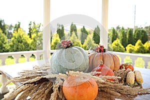 Pumpkin in color assortment with corn on a marble table