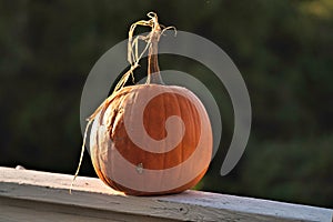 Pumpkin on Country Banister after Harvest