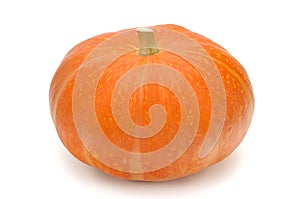 Pumpkin with the cut peduncle