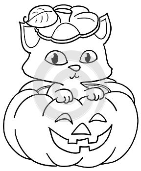 Pumpkin and cute cat coloring