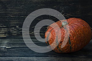 Pumpkin on a dark wooden background