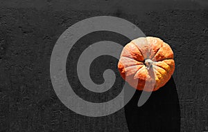 Pumpkin in darkness. Halloween mood. Colorful autumn foliage in the background. orange pumpkins at an outdoor farmers market. pump