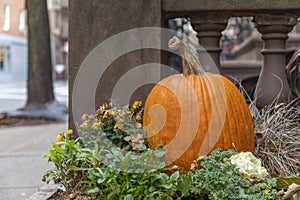 A Pumpkin Decoration 