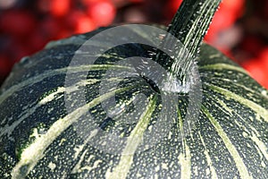 Pumpkin detail