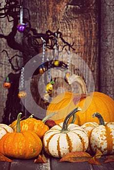 Pumpkin display with autumn leaves against rustic Halloween back