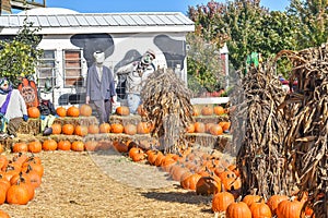 Pumpkin Display with Corn Husks and Scarecrows photo